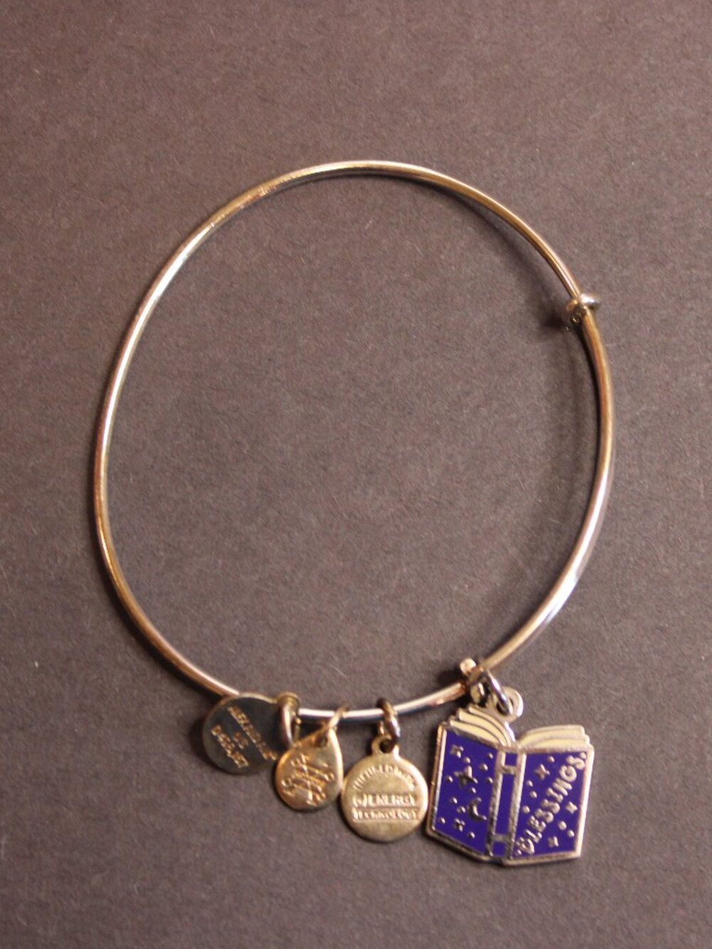 Alex and Ani Blessing silver bangle